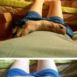 사진有) <b>재롱</b>둥이 우리 넙죽토끼