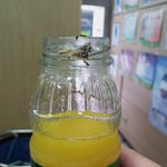 롯데칠성 애벌레 사건