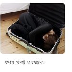 여행가방 속에 들어간 최강희, 4<b>차원</b> 여전하네