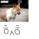 <b>사진</b>有 서인국닮은<b>저</b> 인증
