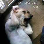<b>저기요</b>...