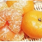 왜 <b>수박</b>이 <b>수박</b>인줄 아세여?