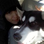 말라뮤트와 <b>산책</b> 그리고 일회용어그...(사진有)