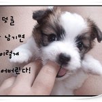 사진有)여자친구가 <b>홍콩</b>