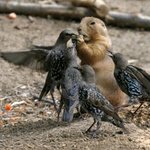 내꺼야 <b>십알</b>~