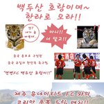 백두산 호랑이여 <b>한라</b>로 오라!