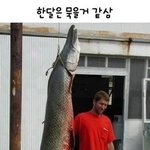 <b>심심</b>할떄 보는 웃기는 사진 모음