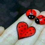 ※ 혈액형으로 보는 이상적인 배우자 ※