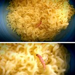 라면에 <b>분홍색</b> 애벌레가...