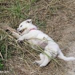 ♣♣♣ <b>로또</b> 1등이 당첨 된다면... ♣♣♣