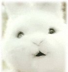 ('ㅁ') 아함 피곤하다~ 저 <b>자러</b>가요 ~ `