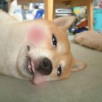 여성톡커분들은 봅니다.