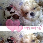 우리 가족을 소개 합니다 ~!!!