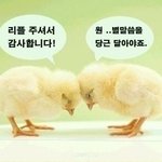 인간반성