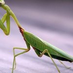 고등학교시절 학교가다 내앞에 길을 막은건 ... (사진有)