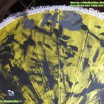 태국갔던 샤이니, <b>태민</b>이가 그린 우산-ㅁ-