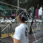 비오는날 <b>차도</b>로날아간 비닐의정체(사진有)