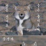사진과 너무 달랐던 소개팅女...1부