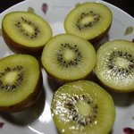 참<b>다래</b> 선물받았어요^^