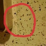 (섬뜩)혼자사는 여성분들 조심하세요...