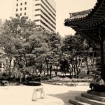 우리시대의 old