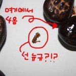 벌레맛 돈부(불량식품<b>까자</b>하면아시려나?) 드셔는 보셨는지요?