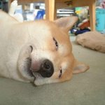 <b>점심들</b> 잡쉈나