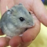 경기도 고양시 화정동 <b>투어</b>