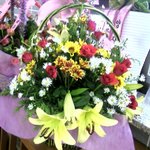 12/15 <b>출석</b>