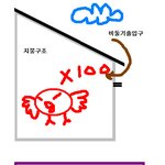 집 천장에 비둘기가 살아요.. 살려주세요ㅜㅜ