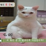 길똥냥<b>아버님</b>과 만났습니다 그런데...