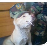 취침<b>점호</b> 한다. 소등해라