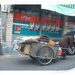 아직 겨울은 따뜻한가 봐요! (리플하나에 큰힘이됩니다!)