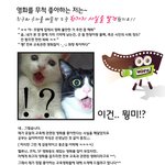 내 인생에 가장 특별한 영화들..취향이 <b>독특</b>한가요?!