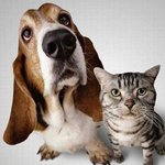 귀여운 동물들 보러 <b>놀러</b>간 동물원.zoo