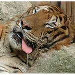 내 생애 최악의 키스 <b>best</b> 5 ㅋㅋㅋㅋㅋ