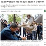 조련사에게 <b>원숭이</b>가 하이킥-ㅁ-ㅋ;;;;;;;;