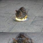 기분도 꿀꿀한데.. <b>소환</b>한다!!
