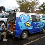 캠프벤 타고 떠난 호주 스펙타클 여행기2탄 - 킹스캐년편