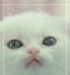 아 <b>슈발</b> 천사같아