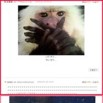싸이<b>허세</b>모음ㅋㅋ 아 미치겠네