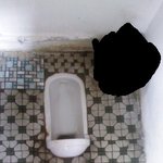 물은 <b>셀프</b>? 물 내리는곳 어디 ?