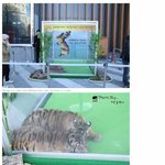 <b>롯데</b>..진짜..---