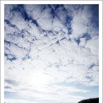 생전처음 <b>보드</b>타러 갔다가 생긴일(사진有)