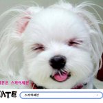 나<b>엠넷</b>피디인데 고소하지마 우리입장도 들어줘야지