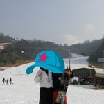 사진 有)홍천 대x 비발디파x 에서 잃어버린 두가지를 미치게찾습니다...