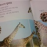 아이들에게 책 읽어주는 시간.. 가지고 있으신가요?