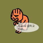 지금의 심리 인증