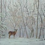 <b>iq</b> 150 이상만 보여요