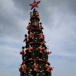 teo의 크리스마스 보내기 en panama